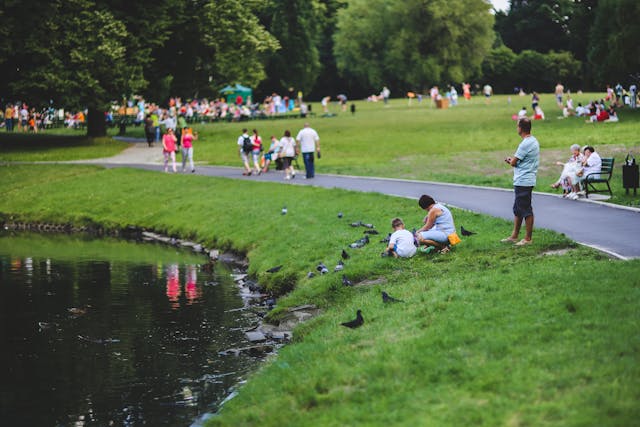 person in a park by the water
